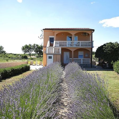 Apartment Sapavac Vir Dış mekan fotoğraf